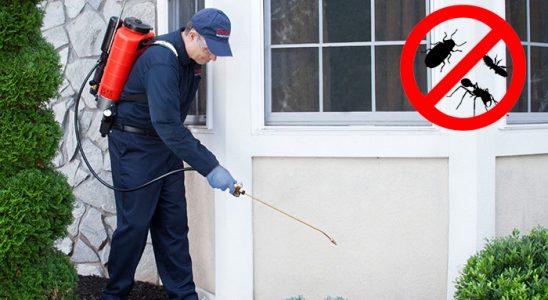 Akçakale Dezenfeksiyon böcek ilaçlama ve haşere kontrolü — ilaclama-tr.com
